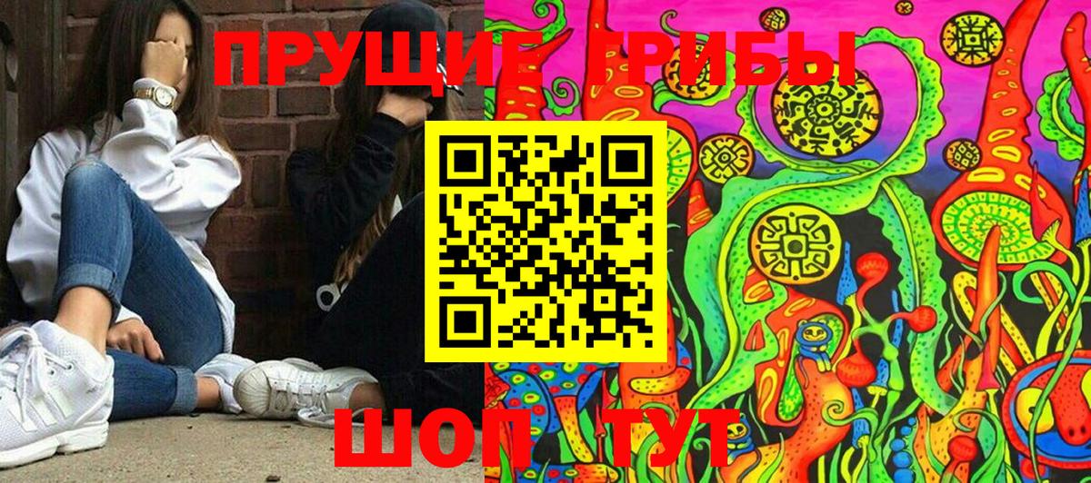 Галлюциногенные грибы MAGIC MUSHROOMS  что такое наркотик  Киреевск  Псилоцибиновые грибы GOLDEN TEACHER  Вход с VPN 